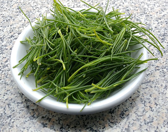 Barba dei frati o agretti
