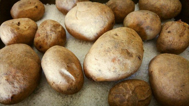 Patate cotte al forno su letto di sale per la preparazione degli gnocchi.