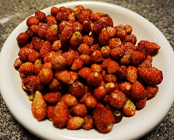 L'ingrediente principale della nostra coulis sono le fragoline di bosco