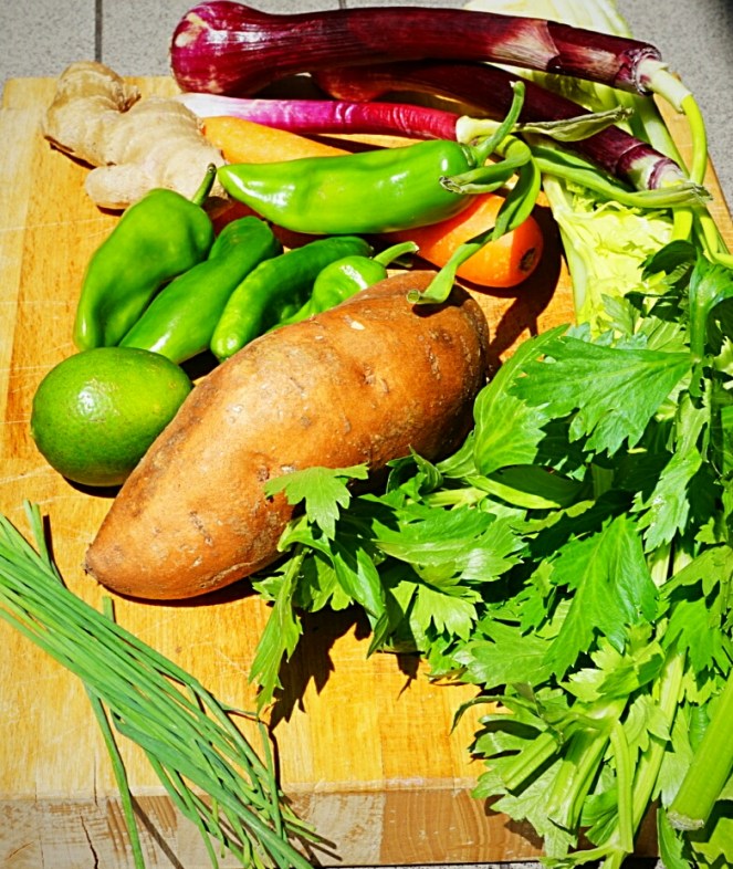 Verdure fresche utilizzate per preparare la salutare zuppa esotica,