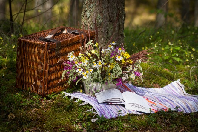 pic-nic